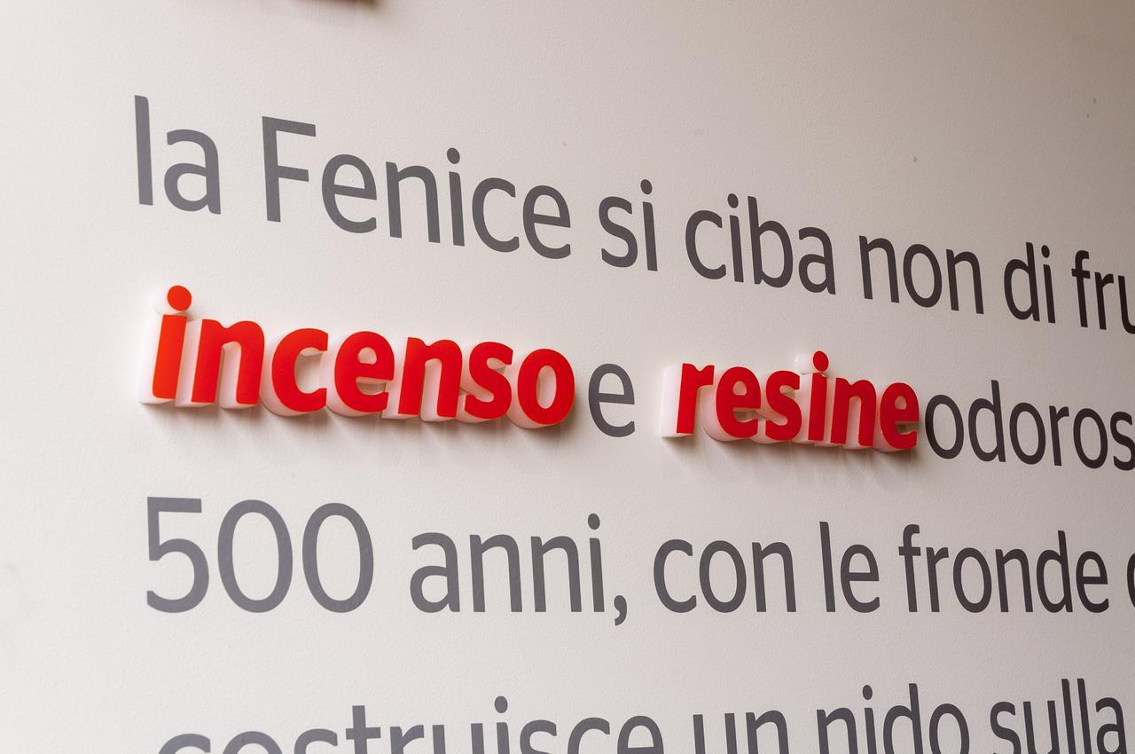 Villa Fenix Osio Sotto Extérieur photo
